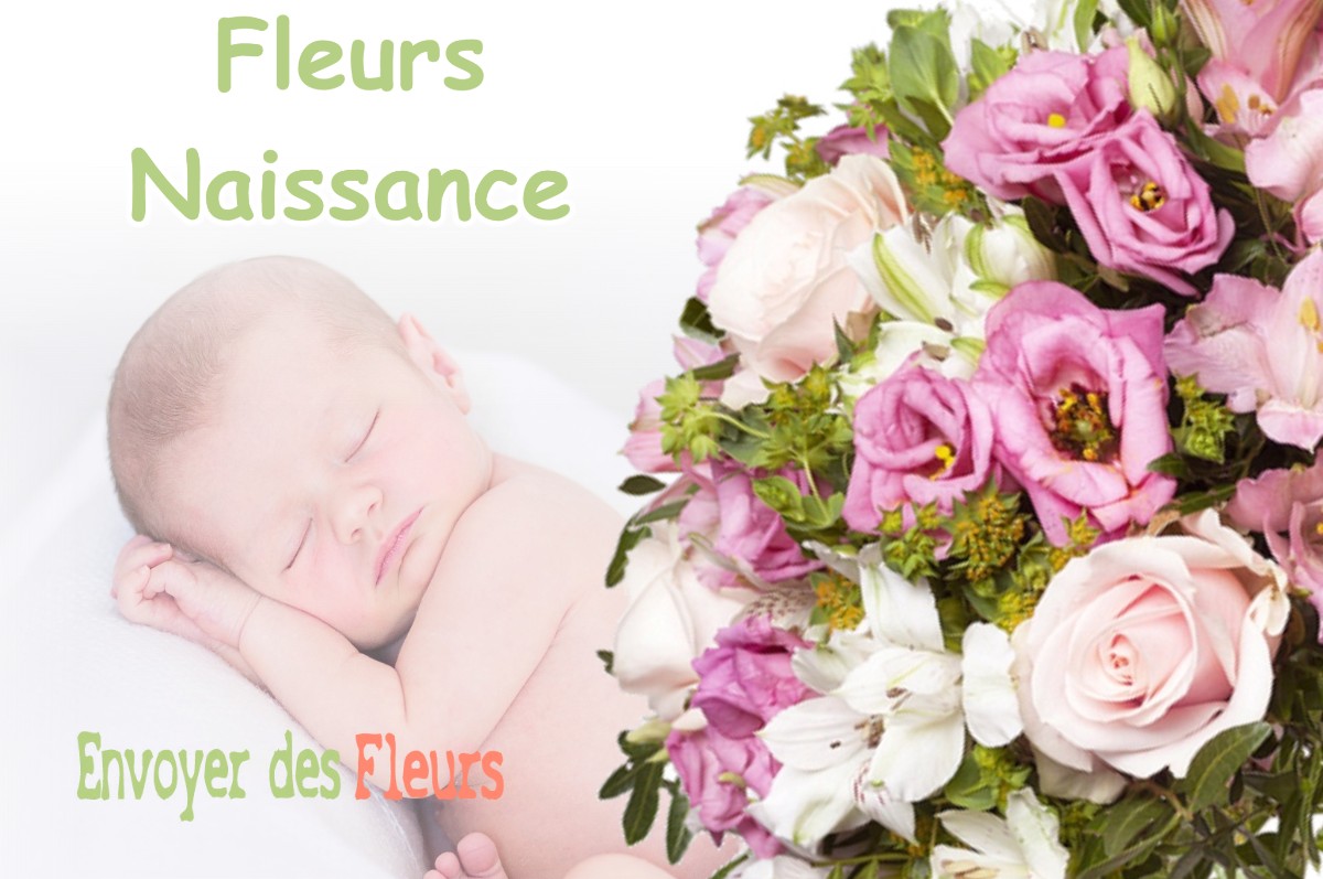 lIVRAISON FLEURS NAISSANCE à CORBELIN